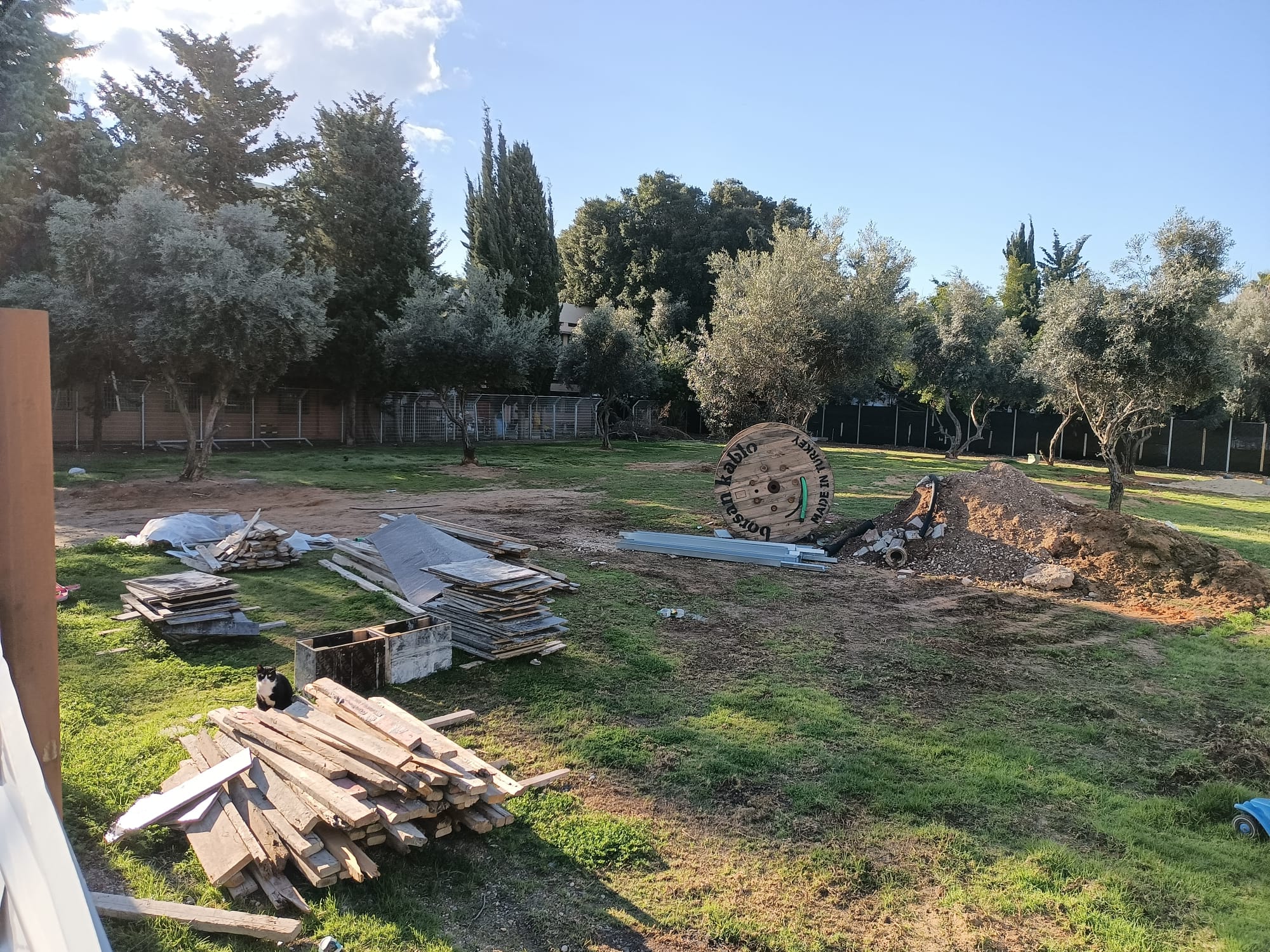 WhatsApp Image 2022-03-16 at 7.38.42 AM.jpeg